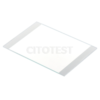 Mega-Sized Microscope Slides