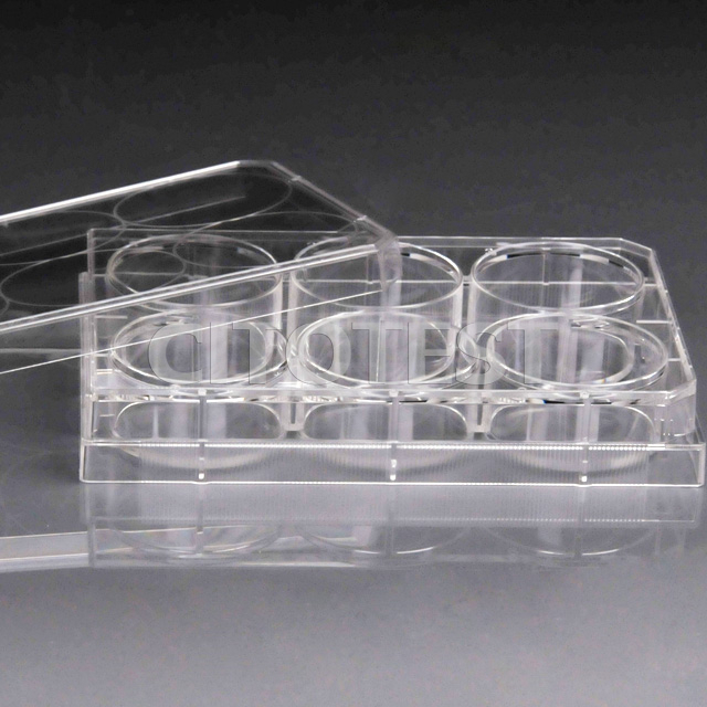 Cell Culture Plates