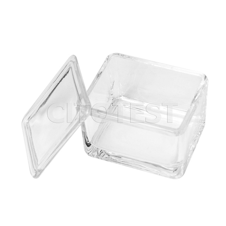 6pcs Coplin Staining Jar: 5-Slide Capacity Glass Tank With Lid Plastic