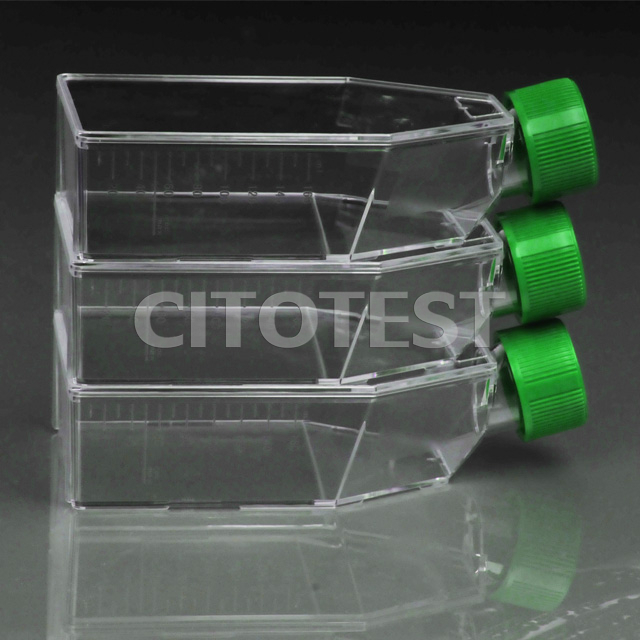 Culture Flasks