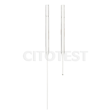 Glass Pasteur Pipette